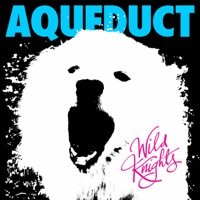 Music Album: 'Wild Knights' by Aqueduct